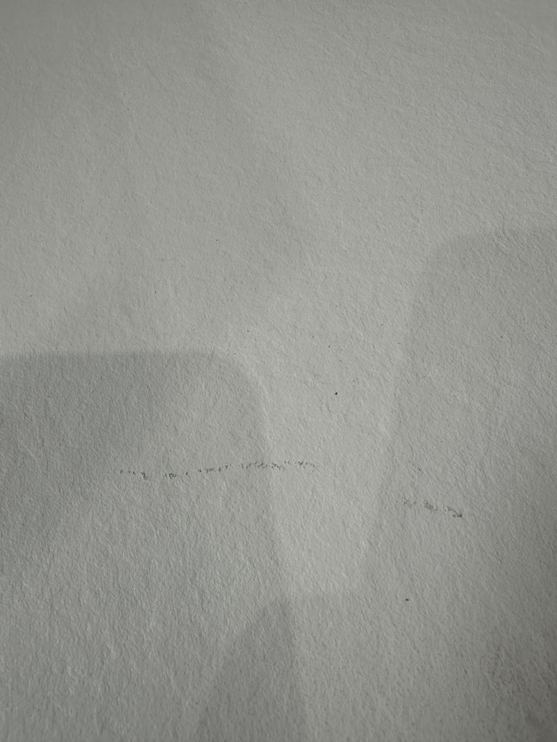 SECONDE VIE - Receveur de douche extra plat 80 x 180 cm RIBERA en résine surface ardoisée blanc