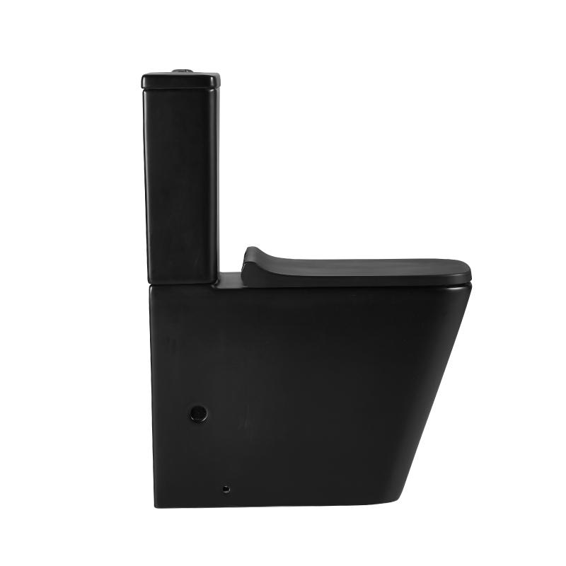 Toilette WC à poser PISA en céramique noir mat - Le Monde du Bain