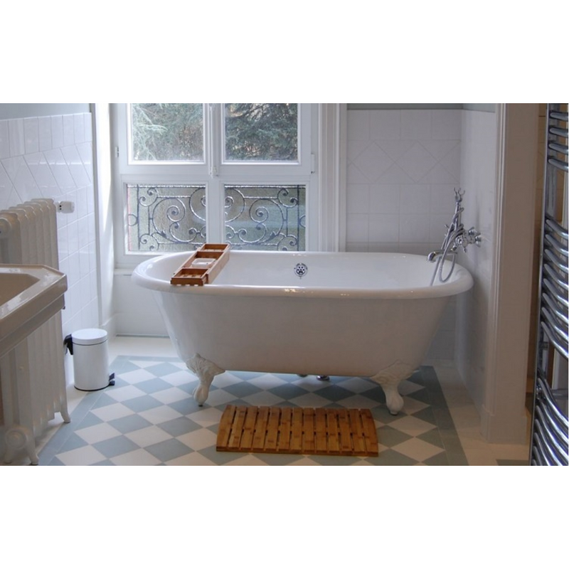 Plymouth blanche | Commun